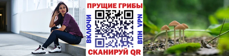 Галлюциногенные грибы Psilocybine cubensis  купить наркоту  Удачный 
