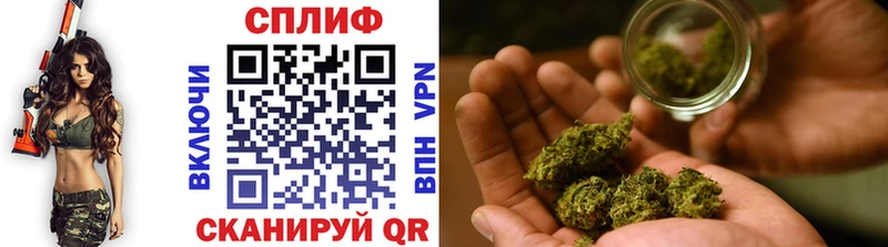 продажа наркотиков  Удачный  МАРИХУАНА сатива 